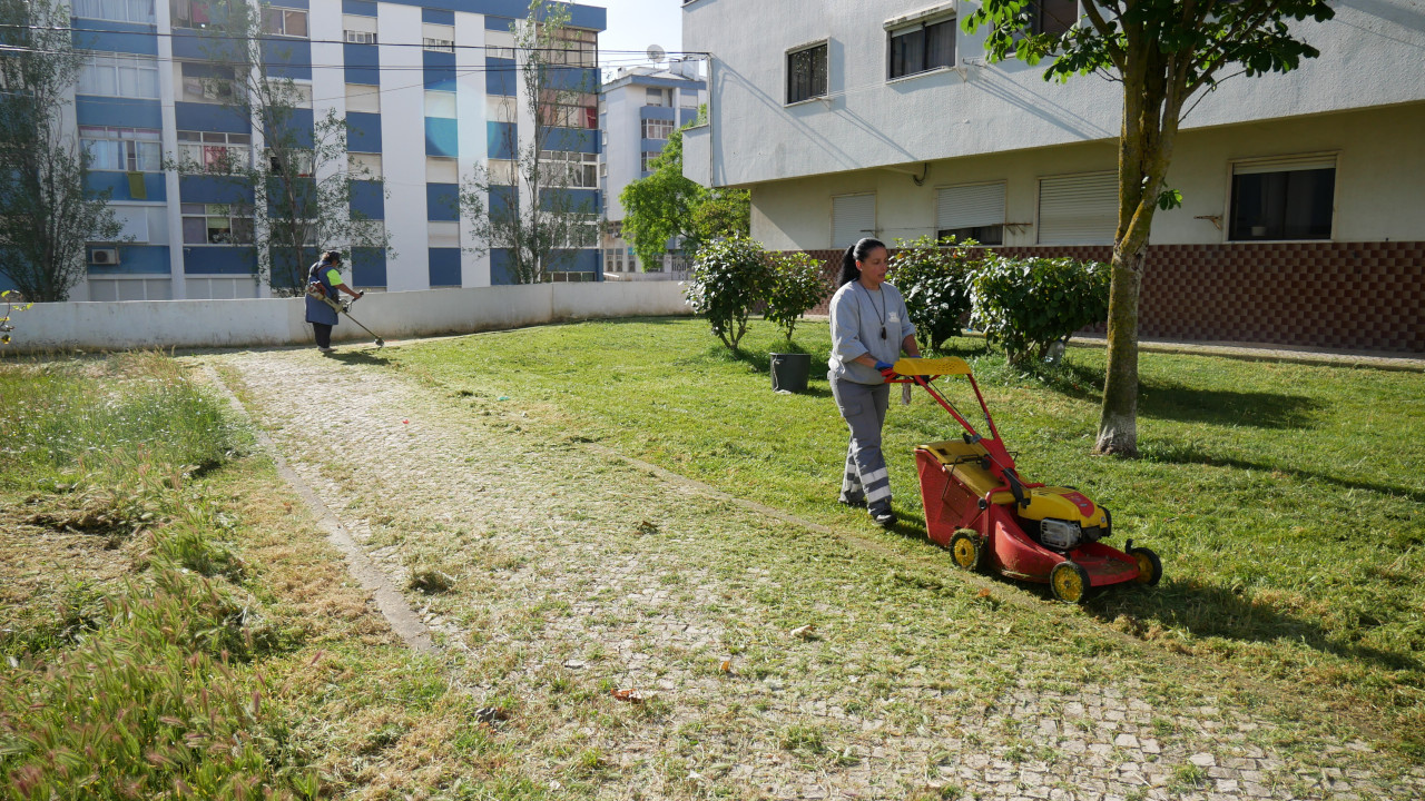 Manutenção de zonas verdes no bairro da Boa Hora