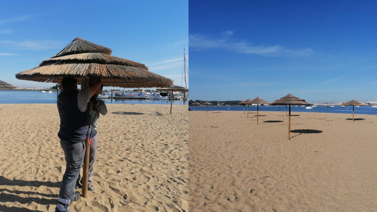 Colocação dos sombreadores na Praia do Seixal
