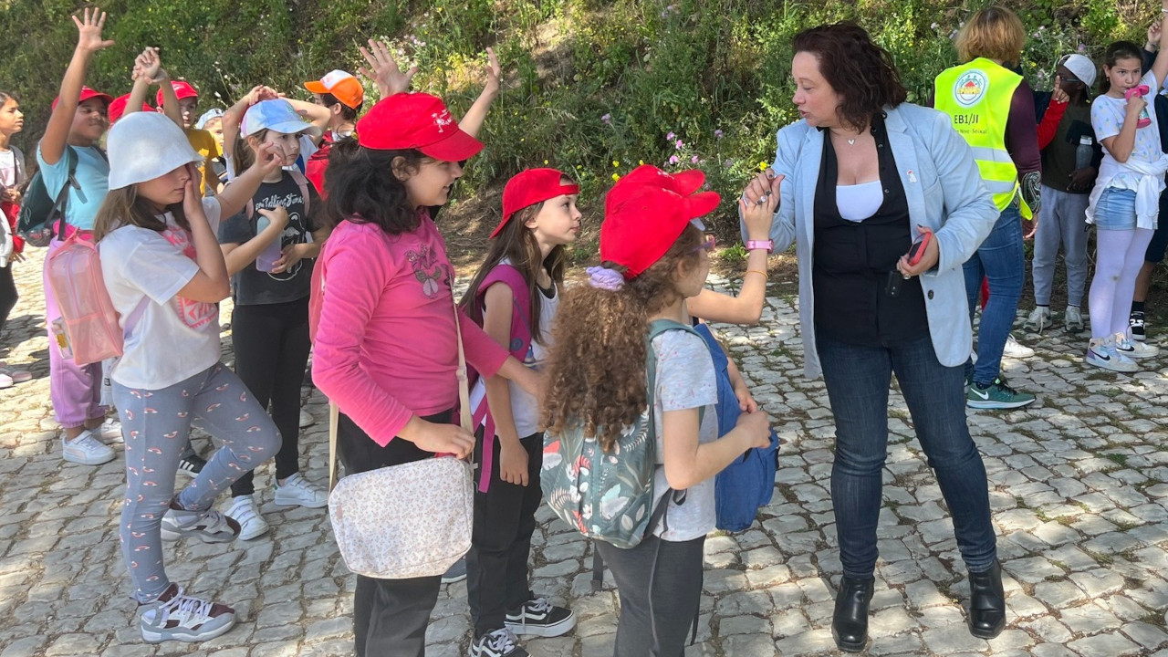 Projeto de Apoio à Educação Física no 1.º Ciclo do Ensino Básico