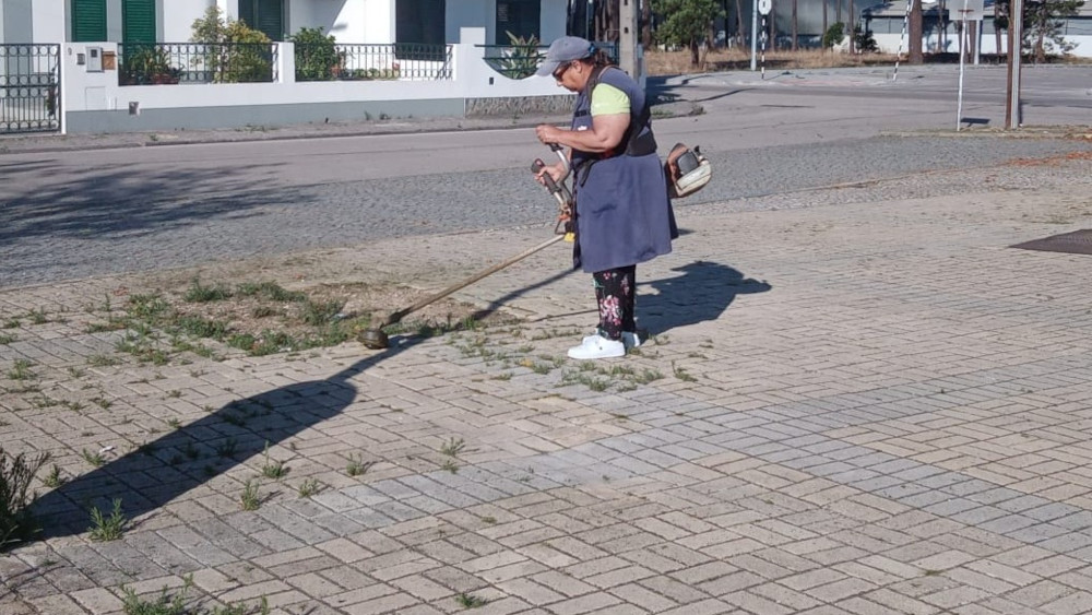 Limpeza na envolvente ao Mercado de Pinhal de Frades