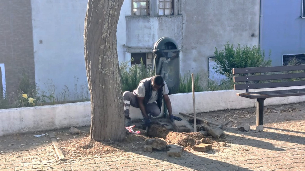 Requalificação de caldeira de árvore no Bairro 1º de Maio