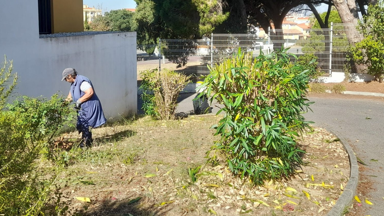 Colaboração com a AURPIS na manutenção de espaços verdes