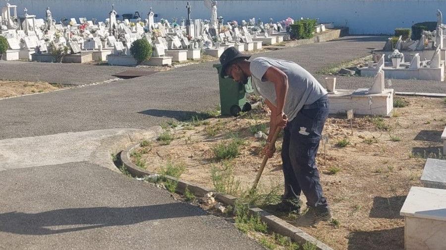 Trabalhos de limpeza e manutenção no Cemitério Paroquial do Seixal