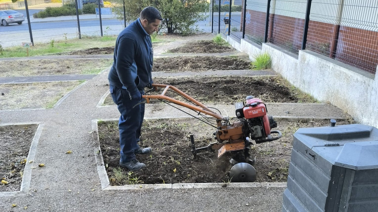 Requalificação da horta pedagógica da EB da Quinta dos Franceses