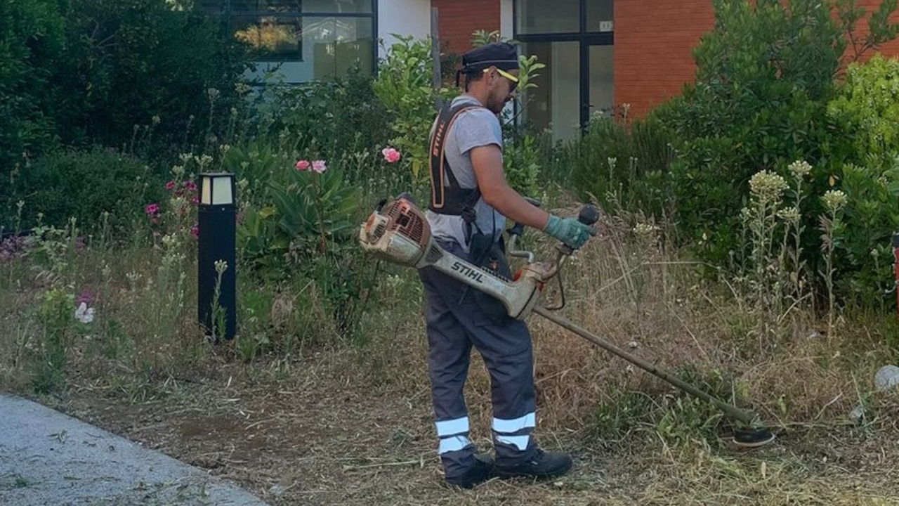 Ação regular de desmatação e limpeza na AURPIS