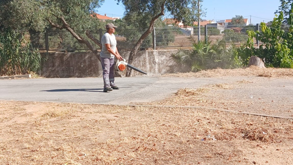 Ação de limpeza na EB Dr. António Augusto Louro
