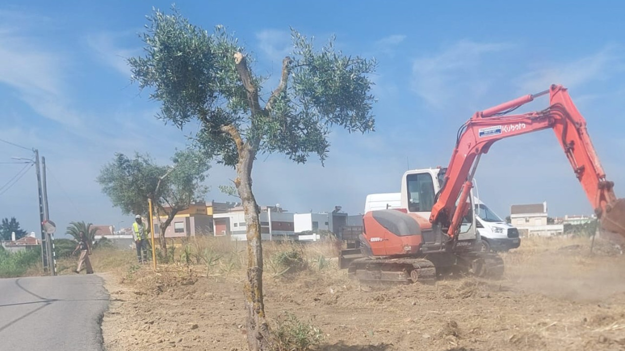 Passeio entre as urbanizações Colinas do Sul e Bacelos de Gaio