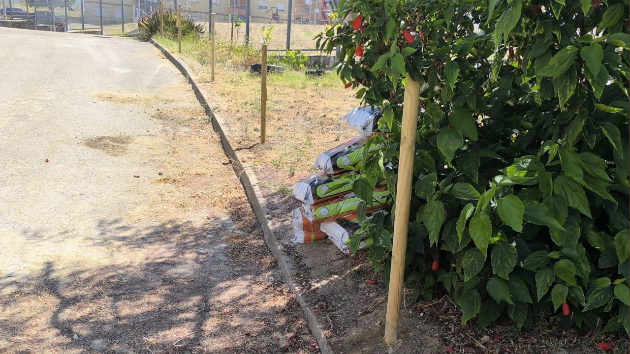 Instalação de uma vedação na Escola Básica Nun'Alvares