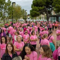 Caminhada da Liga Portuguesa Contra o Cancro
